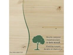 OLIVER - Armoire 2 Portes + Penderie Bois Massif Naturel -Fren Soldes Boutique armoire et dressing 10058741