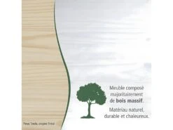 SYDNEY - Armoire 2 Portes + Penderie Bois Massif Vernis Blanc -Fren Soldes Boutique armoire et dressing 10059147