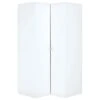 Armoire D'Angle Blanche 2 Portes - Stige