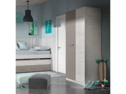 Armoire 2 Portes Battantes Bois Blanchi/Brun - TOMTUM - L 90 X L 52 X H 200 Cm