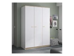 Armoire 3 Portes Blanc/Chêne Blond - MAILLE