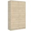 Armoire Denali, Porte-manteau Pour Chambre, Armoire Avec 2 Portes Coulissantes, 120x50h204 Cm, Chêne