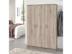 Garde Robe REY, Armoire 3 Portes Idéal Pour Votre Entrée, Votre Buanderie Ou Votre Sdb