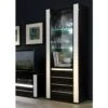 Vitrine Petit Modèle LINA Noire Et Blanche Brillante Avec LED