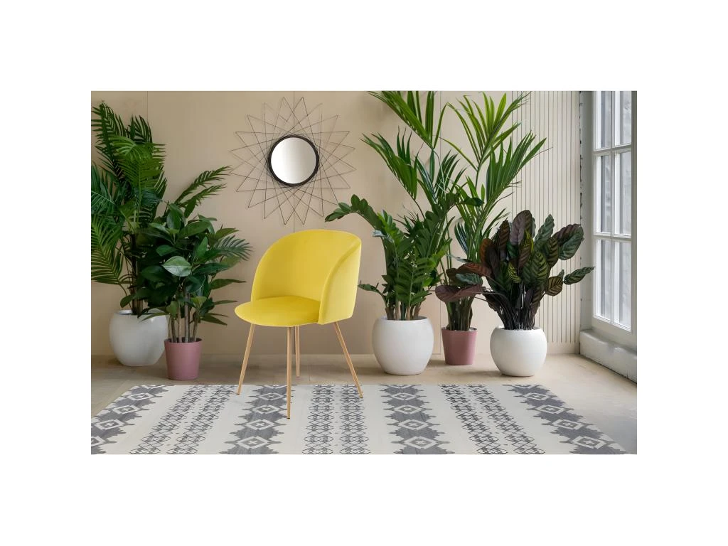 Lot De 2 Chaises En Velours "Celina" 84 Cm Jaune 3 Lot De 2 Chaises En Velours "Celina" 84 Cm Jaune – Image 3