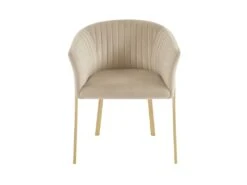 Lot De 2 Chaises Avec Accoudoirs En Velours Et Métal Doré - Beige - ZAOVA De Pascal MORABITO 12 Lot De 2 Chaises Avec Accoudoirs En Velours Et Métal Doré - Beige - ZAOVA De Pascal MORABITO -Fren Soldes Boutique chaise 18483063