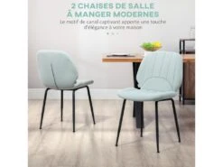 Lot De 2 Chaises De Salle à Manger En Velours Avec Dossier, Assise Rembourrée Et Pieds En Acier Vert Et Noir -Fren Soldes Boutique chaise 22167609