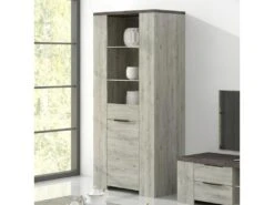 Colonne Vitrée 2 Portes Bois Gris/Béton - RIUCKO - L 85 X L 52 X H 190 Cm