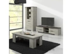 Colonne Vitrée 2 Portes Bois Gris/Béton - RIUCKO - L 85 X L 52 X H 190 Cm -Fren Soldes Boutique vitrine 19823423