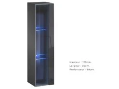 Vitrine Suspendue Grise Petit Modèle Avec 1 Porte Vitrée Et éclairage LED Inclus. Collection SWITCH. -Fren Soldes Boutique vitrine 22128409