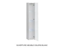 Vitrine Suspendue Noire Avec 1 Porte Vitrée Et éclairage LED Inclus. Collection SWITCH. -Fren Soldes Boutique vitrine 22140387